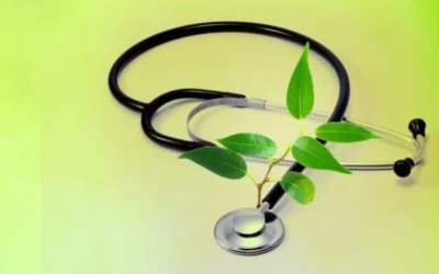 Functional Medicine for Dogs